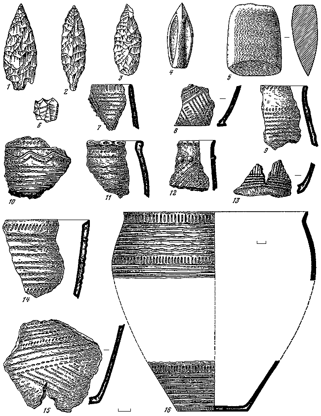 Эпоха бронзы лесной полосы СССР - i_162.png