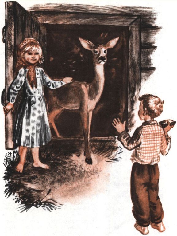 У пана лесничего на шляпе кисточка - i_009.jpg