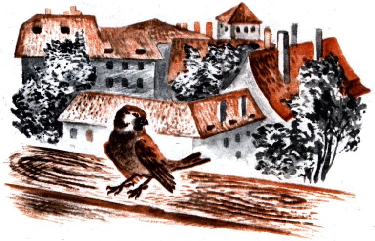 У пана лесничего на шляпе кисточка - i_024.jpg