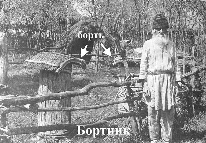 Доказательная апитерапия. Второе издание - i_003.jpg