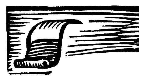 Шарафат бесстрашная - pic11.jpg