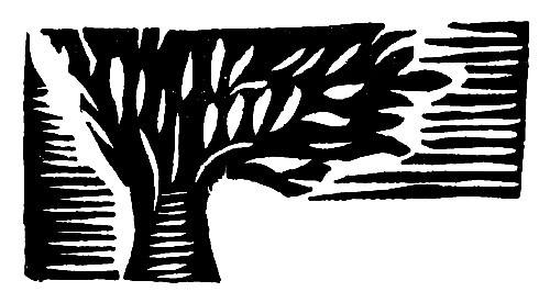 Шарафат бесстрашная - pic12.jpg