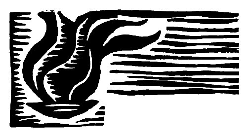 Шарафат бесстрашная - pic13.jpg