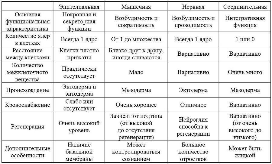 ЕГЭ. Биология. Анатомия и физиология человека - _8.jpg