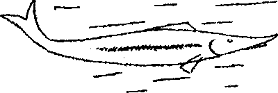 Операция «П» - i_013.png