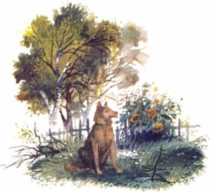 Проша - i_009.jpg