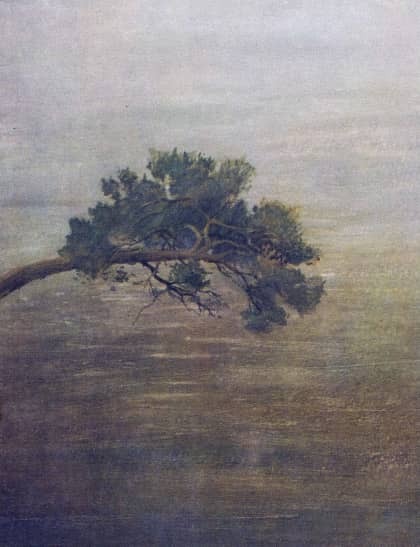 Проша - i_010.jpg