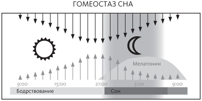 Спать и высыпаться. Методика здорового сна для полноценной жизни - i_001.jpg