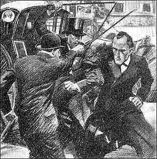 Архив Шерлока Холмса. Открытие Рафлза Хоу (сборник) - i_06.jpg