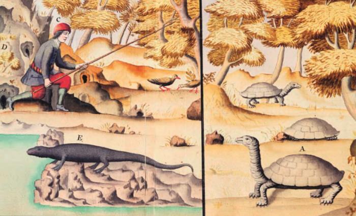 Великие тайны океанов. Тихий океан. Флибустьерское море - i_050.jpg