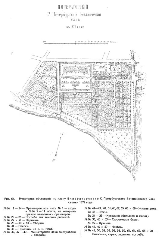 Цвет нашей интеллигенции 19-го века. Буквы «Р, С» - image18.jpg