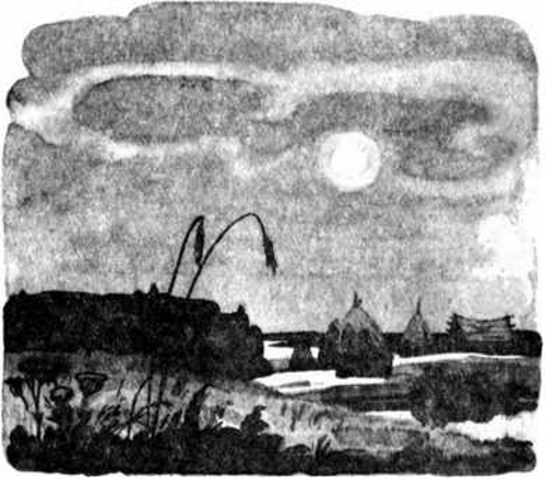 Гнездо ласточки (авторский сборник) - i_022.png