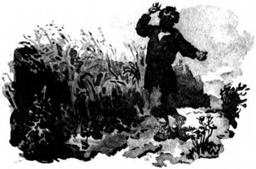 Гнездо ласточки (авторский сборник) - i_025.png