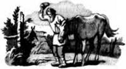 Гнездо ласточки (авторский сборник) - i_028.png