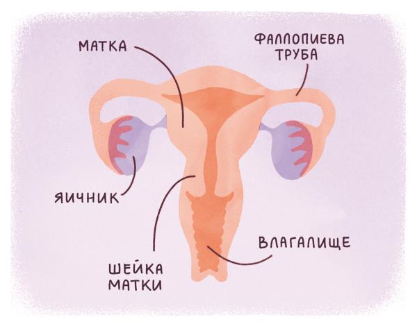 Современная энциклопедия для девочек - i_003.jpg