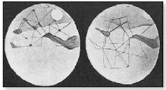 Сказка об астрономе Слайфере - pic_5.png