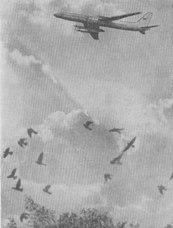 Москва в новых границах - pic_7.png