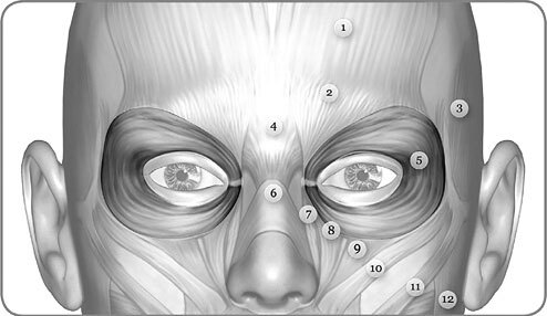Взгляд в молодость. Система Осьмионика для лица и глаз. Комплекс ручных и аппаратных методик - i_006.jpg