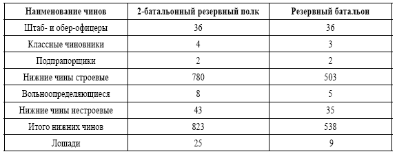 Русская пехота в последних войнах Российской империи - i_013.png