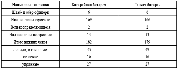 Русская пехота в последних войнах Российской империи - i_014.png