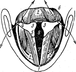 Искусство речи - i_034.png