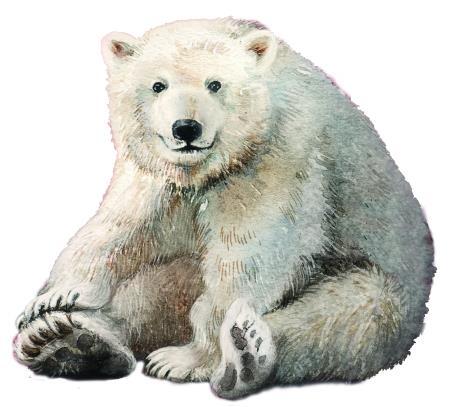Фомка – белый медвежонок - i_002.jpg