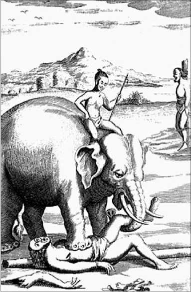 Боевые слоны в Античности и раннем Средневековье - i_006.jpg