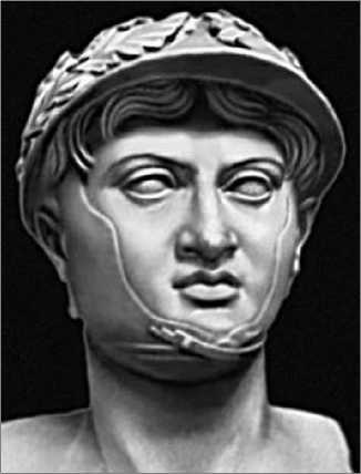 Боевые слоны в Античности и раннем Средневековье - i_033.jpg