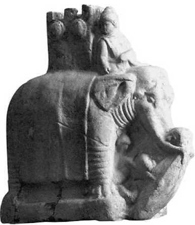 Боевые слоны в Античности и раннем Средневековье - i_040.jpg