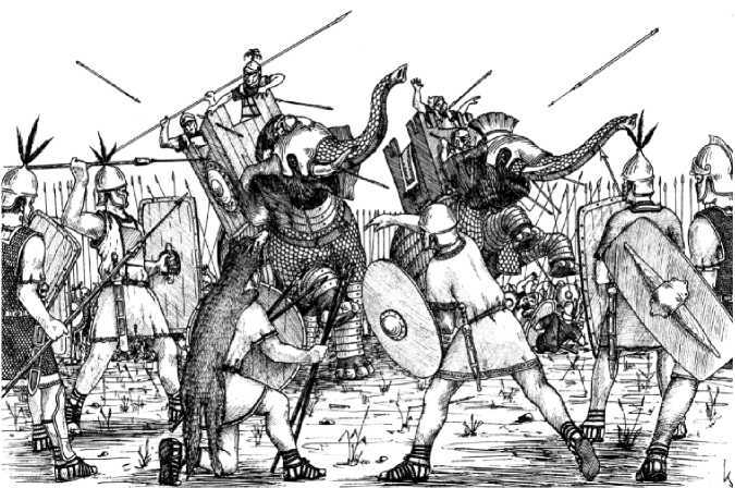 Боевые слоны в Античности и раннем Средневековье - i_046.jpg