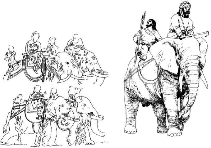 Боевые слоны в Античности и раннем Средневековье - i_146.jpg