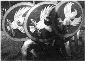 Римская армия в IV столетии от Константина до Феодосия - i_147.jpg