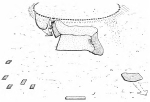 Римская армия в IV столетии от Константина до Феодосия - i_159.jpg