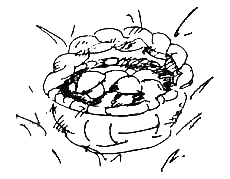 Антология Сатиры и Юмора России XX века. Том 16. Анатолий Трушкин - _00kopija.png_85