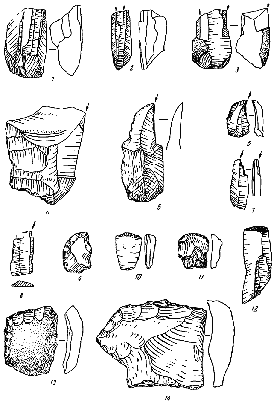 Древняя история Среднего Поволжья - i_004.png