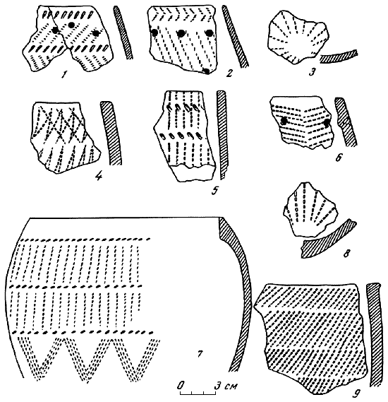 Древняя история Среднего Поволжья - i_032.png