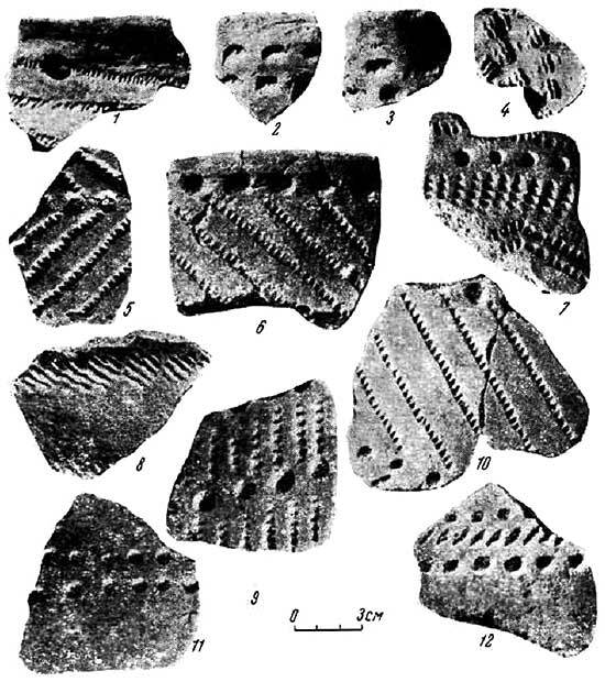 Древняя история Среднего Поволжья - i_042.jpg