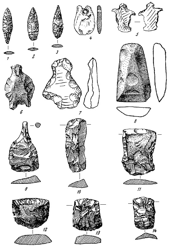 Древняя история Среднего Поволжья - i_050.png