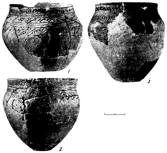 Древняя история Среднего Поволжья - i_076.png