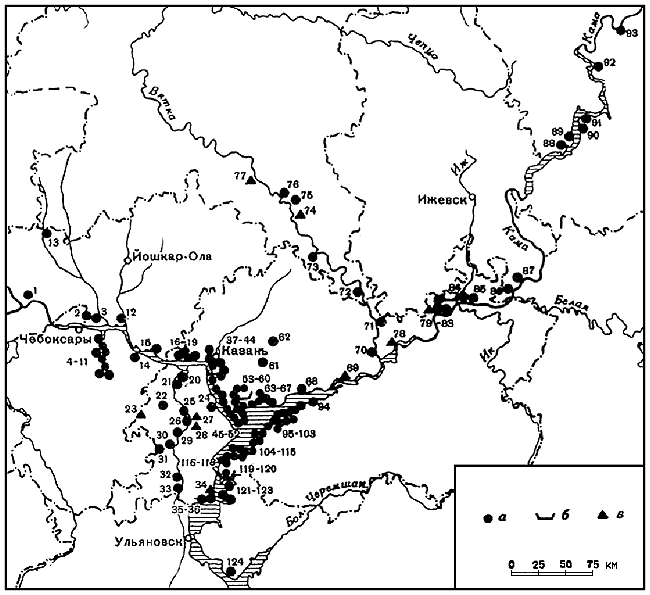 Древняя история Среднего Поволжья - i_077.png