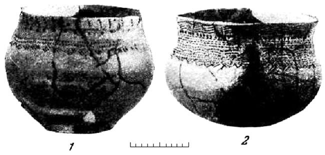 Древняя история Среднего Поволжья - i_078.jpg