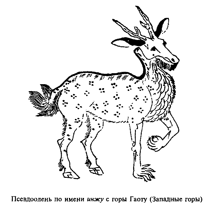 Каталог гор и морей - img_3.png