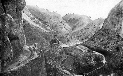 История Ирана с древнейших времен до конца XVIII века - i_025.jpg