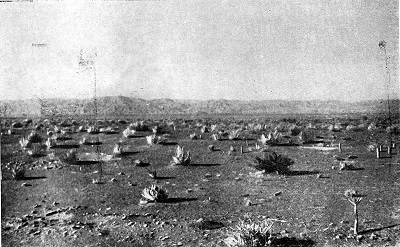 История Ирана с древнейших времен до конца XVIII века - i_026.jpg