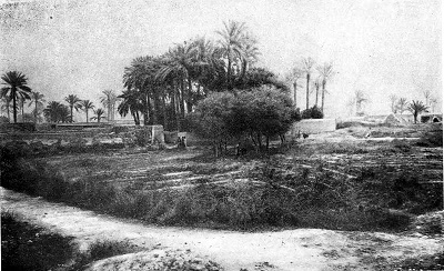 История Ирана с древнейших времен до конца XVIII века - i_028.jpg