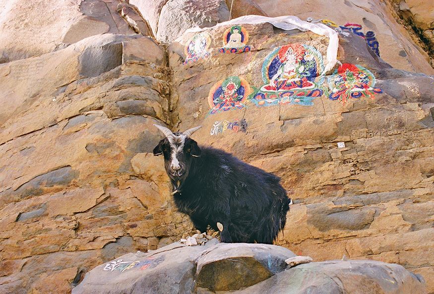 Искусство Тибета - _1.jpg