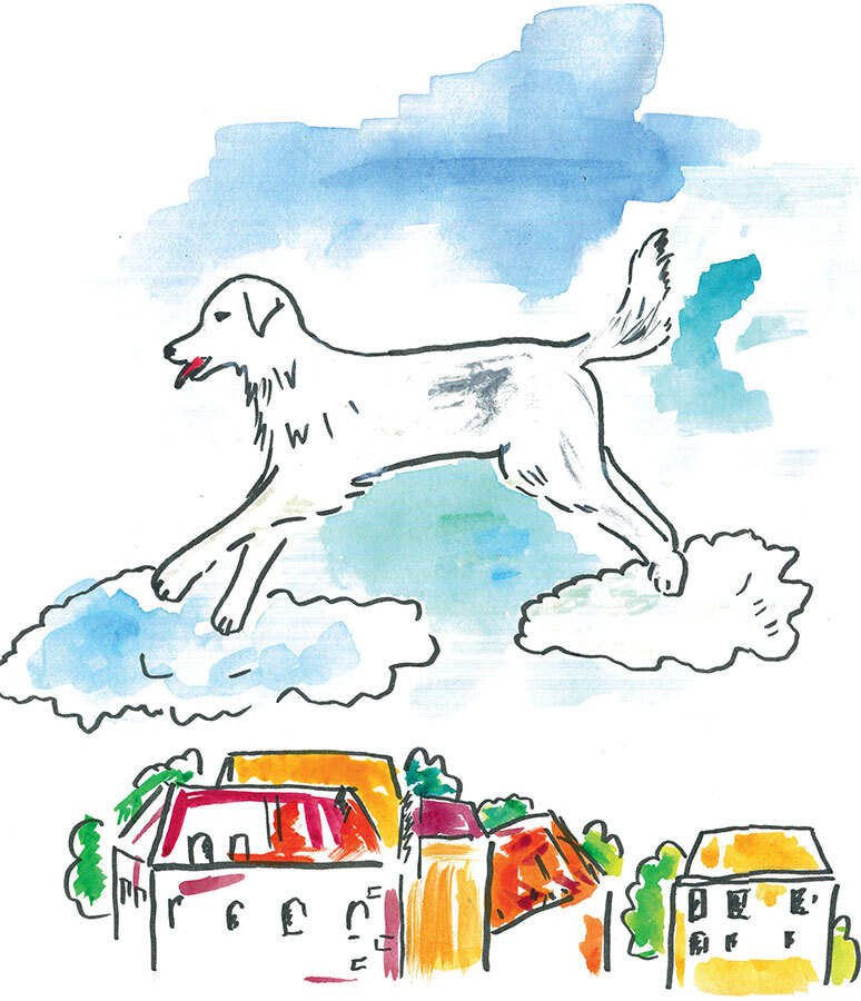 Большая Белая Собака. Часть 1. Общительная сказка для детей и родителей - i_004.jpg