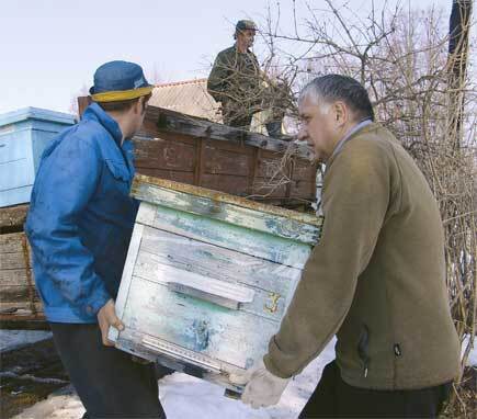 Пчеловодство. Большая иллюстрированная энциклопедия - i_170.jpg