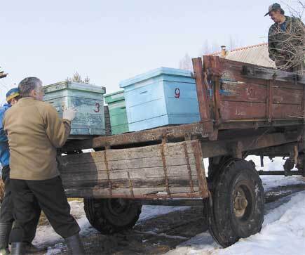 Пчеловодство. Большая иллюстрированная энциклопедия - i_171.jpg