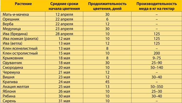 Пчеловодство. Большая иллюстрированная энциклопедия - i_352.jpg